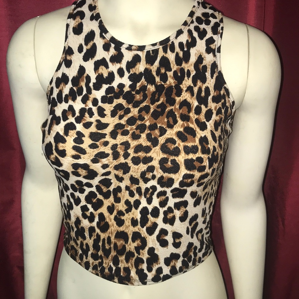 Charlotte Russe Crop Top
